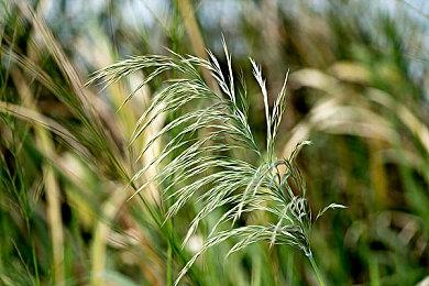 相聚墨西哥，《极限竞速：地平线5》即将发售